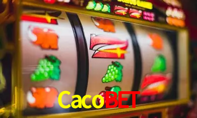 A Experiência Imersiva dos Cassinos Ao Vivo no Cacobet