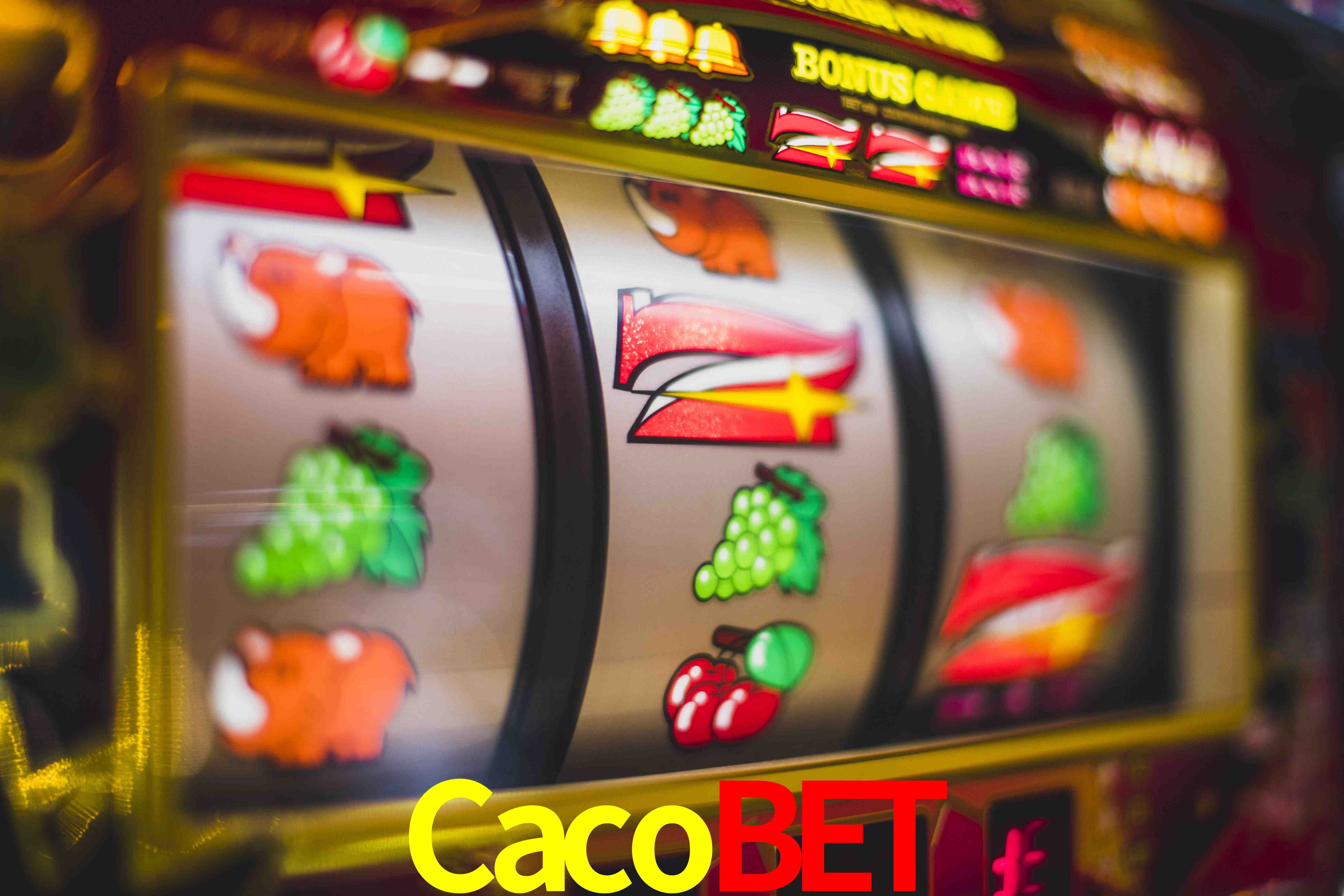 Tennis Betting Cacobet